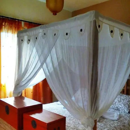 Apartment View House *