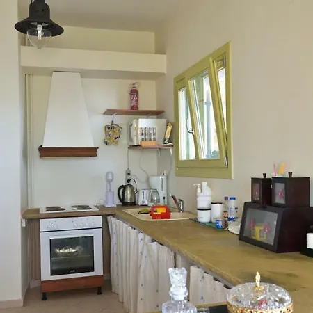 View House Apartment Tinos